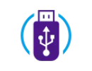 FLASH DISK